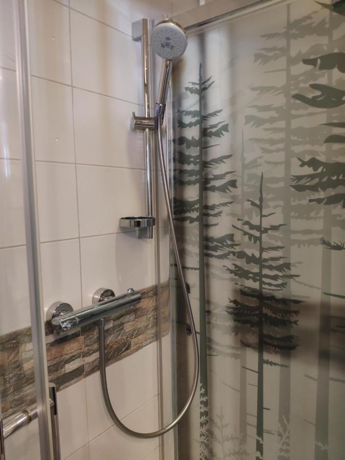 Rupicapra Apartment Zakopane Luaran gambar